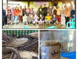 Ikan Sapu-Sapu Jadi Pakan Ternak, LPPM Unhas Dorong Ekonomi Warga Soppeng Lewat Program PPUPIK