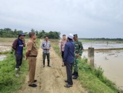 Kapolsek Meurah Mulia Hadiri Penyelesaian dan Pemeriksaan Tapal Batas Desa