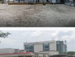 Diduga Ada Pengiriman Kecambah Kelapa Sawit Tanpa Dokumen dari Bandara Kualanamu ke Pontianak