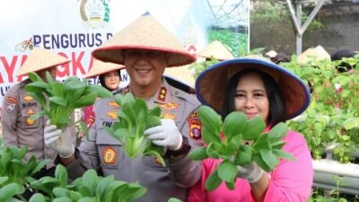Dukung Ketahanan Pangan, Kapolda Kalteng Bersama Bhayangkari Panen Sayur, di Lahan Pekarangan Pangan Lestari