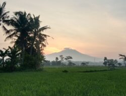 Air, Sawah, dan Hoaks: Membaca Tanda di Era Fawait