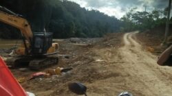 Maraknya Aktivitas PETI di Desa kibul Menghacur kan Bahu Jalan. Kiri Kanan. Publik Minta APH Bertindak Tegas