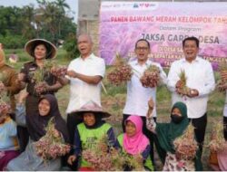 Jam-Intel Dukung Ketahanan Pangan Lewat Panen Raya Bawang Merah di Tanggerang 