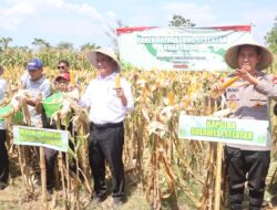 Panen Raya Jagung Kuartal III, Kapolri Tegaskan Komitmen Wujudkan Lumbung Pangan Dunia