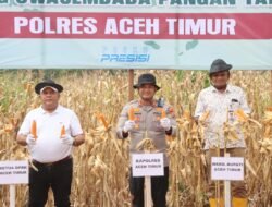 Polres Aceh Timur Gelar Panen Raya Jagung Kuartal III