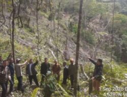 Tim Patroli,RPH Isaq,KPH Wilayah III Aceh dan BKPH Linge di Kawasan Hutan Negara Burlintang Kecamatan Linge