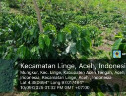 Tidak Hanya Di Tegakan Pinus dan Getah Pinus,PT.THL Bermitra Dengan Masyarakat Mungkur dan PantanNangka,