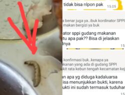 Diduga Bantuan Makanan Bergizi, Program Presiden Prabowo Subianto, Asta Cita Untuk Anak Murid SD Di Kecamatan Kejuruan Muda, Disinyalir Terkesan Berulat Alias Telah Kadaluarsa, Yang Masih Saja, Tetap Disuguhkan Oleh Para Murid SD