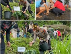 Hijaukan Jembrana, Kapolres Jembrana Turut Sukseskan Penanaman Pohon Serentak di Delapan Titik