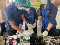 Sterilisasi dan Pengamanan Super Ketat, Gala Dinner MACM di GWK Polda Bali Terjunkan Ratusan Personil