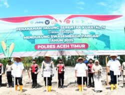 Wujudkan Swasembada Pangan, Polres Aceh Timur Tanam Jagung Serentak Kuartal IV Tahun 2025