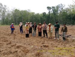 Bhabinkamtibmas Polsek Belitang III Laksanakan Pendampingan Penanaman Jagung I Desa I Hektar