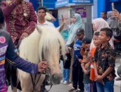 Kajari Bireuen Diabadikan Dalam Karnaval HUT Kabupaten Bireuen ke-26