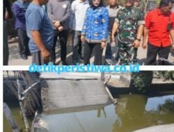 Jembatan di Tambak Cemandi Putus, Wakil Bupati Sidoarjo Sidak dan Janjikan Pembangunan Secepatnya