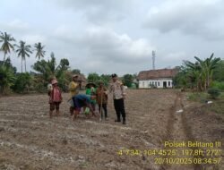 Pelaksanaan Penanaman Bibit Jagung I Hektar I Desa Dilahan Pertanian Polsek Belitang III