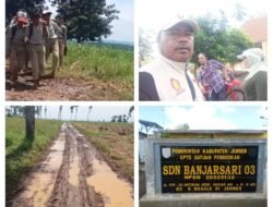 Siswa Dan Siswi Sekolah Dasar Negeri 03 Banjarsari Jember,Tidak Pernah Menikmati Insfratruktur Jalan Yang Layak