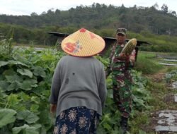 Babinsa Koramil 06/Jagong Ajak Warga Wujudkan Ketahanan Pangan di Desa Telegesari