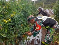 Babinsa Koramil Jagong Gelar Kegiatan Ketahanan Pangan Bersama Warga di Paya Tungel