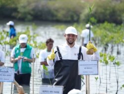 PLN Indonesia Power UBP Banten 3 Lontar Bersama Wakil Presiden RI Tanam Mangrove