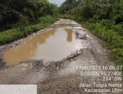 Jalan Desa Meunasah Mesjid Rusak Parah, Warga Minta Pemerintah Segera Perbaiki