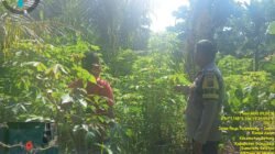 Bhabinkamtibmas Polsek Betung Gerakkan Masyarakat Desa Sedang Dukung Swasembada Pangan Nasional