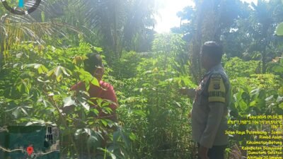 Bhabinkamtibmas Polsek Betung Gerakkan Masyarakat Desa Sedang Dukung Swasembada Pangan Nasional