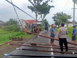 Gerak Cepat Polsek Warujayeng Tangani Dampak Angin Kencang di Tanjunganom