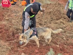 Proses Pencarian Korban Longsor Cilacap, Polri Kerahkan Anjing Pelacak  