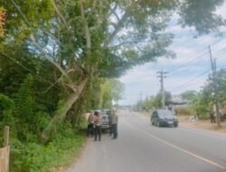 *Satlantas Polres Aceh Utara Tindaklanjuti Aduan Warga, Tinjau Pohon Miring di Lhoksukon*