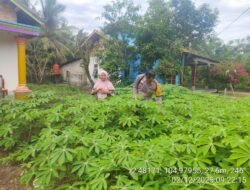 Bhabinkamtibmas Polsek Makarti Jaya Dorong Swasembada Pangan Melalui Tanaman Singkong