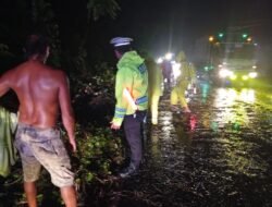 Gerak Cepat Personil Polsek Pekutatan, Evakuasi Pohon Tumbang di Banjar Pengeragoan Dauh Tukad
