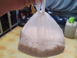 Darurat Sunyi di Pedalaman Aceh: Dua Puluh Hari Tanpa Bantuan, Anak-Anak Bertahan Hidup dari Ubi