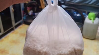 Darurat Sunyi di Pedalaman Aceh: Dua Puluh Hari Tanpa Bantuan, Anak-Anak Bertahan Hidup dari Ubi