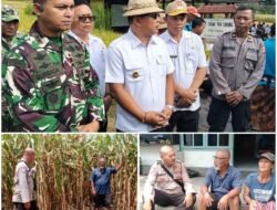 Kanit Binmas Polsek Bebandem bersama Bhabinkamtibmas Sambangi Warga di Subak Yeh Sayang,  Pantau Tanaman Jagung yang Siap Panen