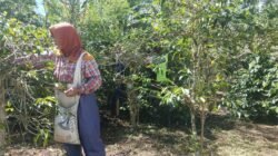 Babinsa Koramil 07/Atu Lintang Beri Motivasi Ketahanan Pangan di Desa Binaan