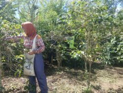 Babinsa Koramil 07/Atu Lintang Beri Motivasi Ketahanan Pangan di Desa Binaan