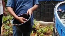 BUMDes Jaya Abadi Desa Durajaya Sukses Budidaya Ikan Nila Sistem Bioflok