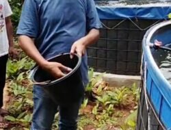 BUMDes Jaya Abadi Desa Durajaya Sukses Budidaya Ikan Nila Sistem Bioflok