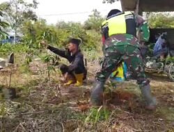 Babinsa Koramil 06/Jagong Bantu Warga Rawat Tanaman Kopi di Desa Gegarang