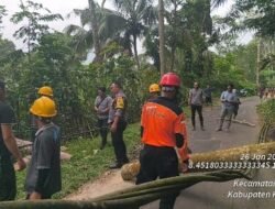Gerak Cepat Polsek Bebandem dan BPBD Karangasem dan Masyarakat, Evakuasi Pohon Kelapa Tumbang  di Desa Sibetan