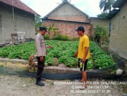 Bhabinkamtibmas Polsek Tanjung Lago Dorong Program P2B Dukung Swasembada Pangan Nasional