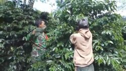 Babinsa Koramil 06/Jagong Laksanakan Ketahanan Pangan Bersama Warga di Paya Dedep