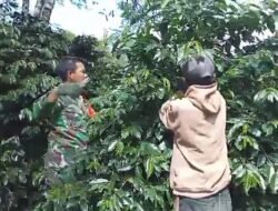 Babinsa Koramil 06/Jagong Laksanakan Ketahanan Pangan Bersama Warga di Paya Dedep