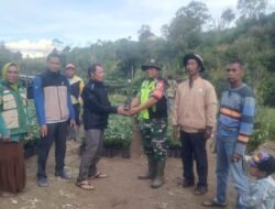 Babinsa Koramil 06/Jagong Dampingi Pembagian Bibit Kopi untuk Dukung Ketahanan Pangan Warga