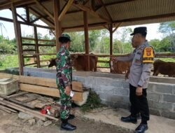 Bhabinkamtibmas Polsek Belitang III Cek Peternakan Sapi Milik Warga Binaan