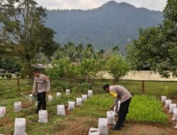 Dukung Program Pemulihan Lingkungan dan Ekonomi Pascabencana, Polres Aceh Timur dan Jajarannya Tanam Bibit Bantuan Kapolda Aceh