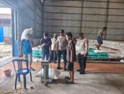 Kegiatan Penyaluran Hasil Panen Jagung Ke Bulog, di Wilayah Hukum Polsek Belitang III