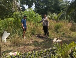 Bhabinkamtibmas Polsek Betung Ajak Warga Desa Taja Raya I Perkuat Swasembada Pangan Melalui Program P2B