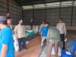 Kegiatan Penyaluran Hasil Panen Jagung Ke Bulog, di Wilayah Hukum Polsek Belitang III