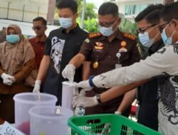 Kejari Bireuen Musnahkan Ribuan Barang Bukti / Sitaan Tindak Pidana Umum